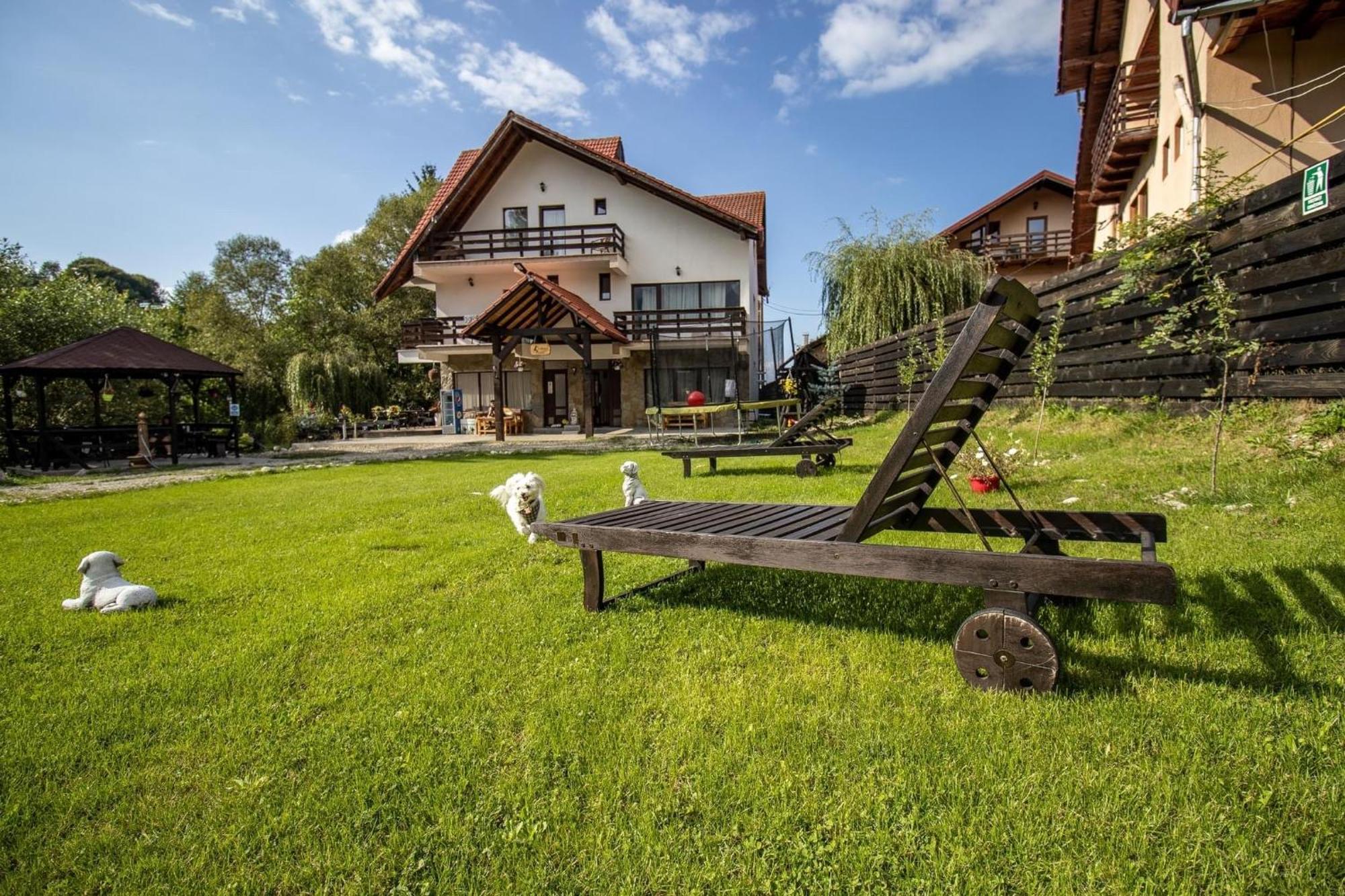 Vila Vibrant Bran (Brasov) Exterior foto